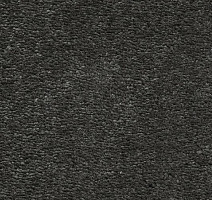 Ковролин AW Invictus Heroicus 98 фото 1 | FLOORDEALER